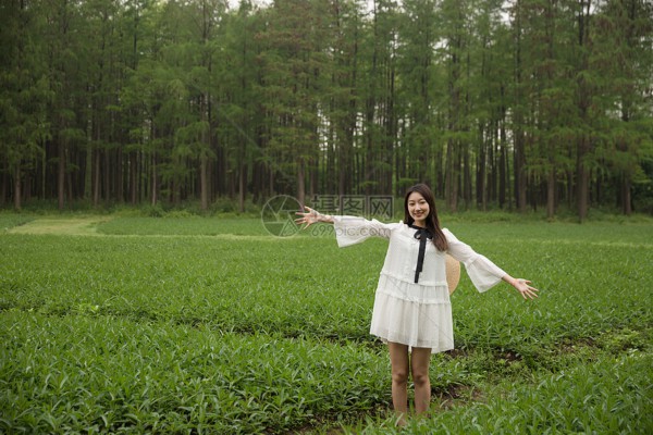 武汉火车站旁，泡一壶茶，让心灵邂逅美景